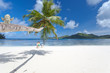 concept plage paradisiaque