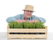 Senior gardener with box of aspic