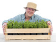 Senior gardener with box of aspic