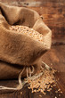 Wheat in burlap bag