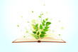 vector illustration of plant growing on open book