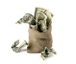 Canvas money sack with one hundred dollar bills