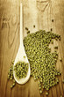 Soybeans in a wooden spoon