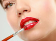Makeup.Professional Make-up. Lipgloss. Lipstick