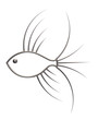 prickles fish
