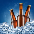 Three beer bottles