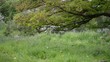 Video: Landleben Landleben