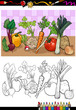 vegetables group illustration for coloring