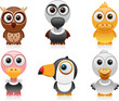 birds cartoon set 2