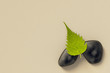 Zen background