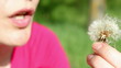 Video: Woman blowing Dandelion seeds Woman blowing Dandelion seeds
