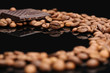 Photo: Coffee beans and chocolate Coffee beans and chocolate
