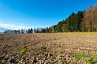 Forests and  Fields
