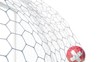 Swiss Ball Scores in Slow Motion