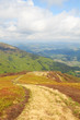 Mountain road in the Carpathian mountains