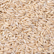oats background