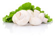 Fresh Portabello Mushroom champignon with green salad leaf isola