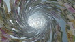 Euro currency tunnel fly through, bloom