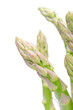 shoots of green asparagus on a white background