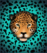 Vektor: Jaguar Jaguar