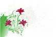 floral verte