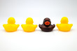 cuatro patos