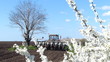 Spring Sowing and Flowers