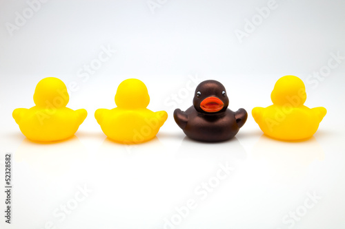 Photo: cuatro patos cuatro patos