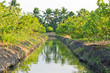 Canal in orchards