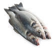 Fresh sea bass