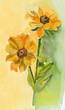 Yellow Flowers