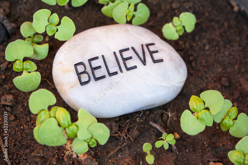 Photo: Believe in New Growth Believe in New Growth