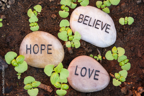 Photo: New Plant Shoots Bringing Belief, Hope and Love New Plant Shoots Bringing Belief, Hope and Love