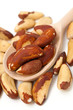 Photo: brazil nuts brazil nuts