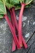 Photo: rhubarb on wooden surface rhubarb on wooden surface