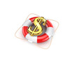 Sign of dollar on lifebuoy.