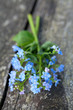 Photo: forget-me-not flowers on wooden surface forget-me-not flowers on wooden surface
