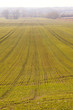 Agriculture
