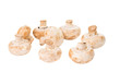 Photo: mushrooms mushrooms