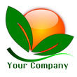 Ecologic logo for company