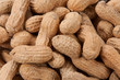 peanuts in shell