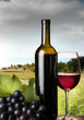 red wine