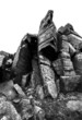 rock black and white