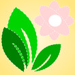Vector illustration of flower