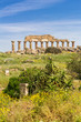 Blühende Gärten am Tempel von Selinunte, Sizilien