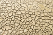 Cracked earth background