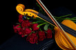 Violin in carry case
