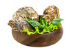 Fresh oyster
