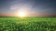 Landscape panoram