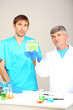 Physician and assayer during research on room background